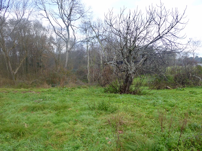 BIAUDOS: PARCELLES DE TERRES AGRICOLES